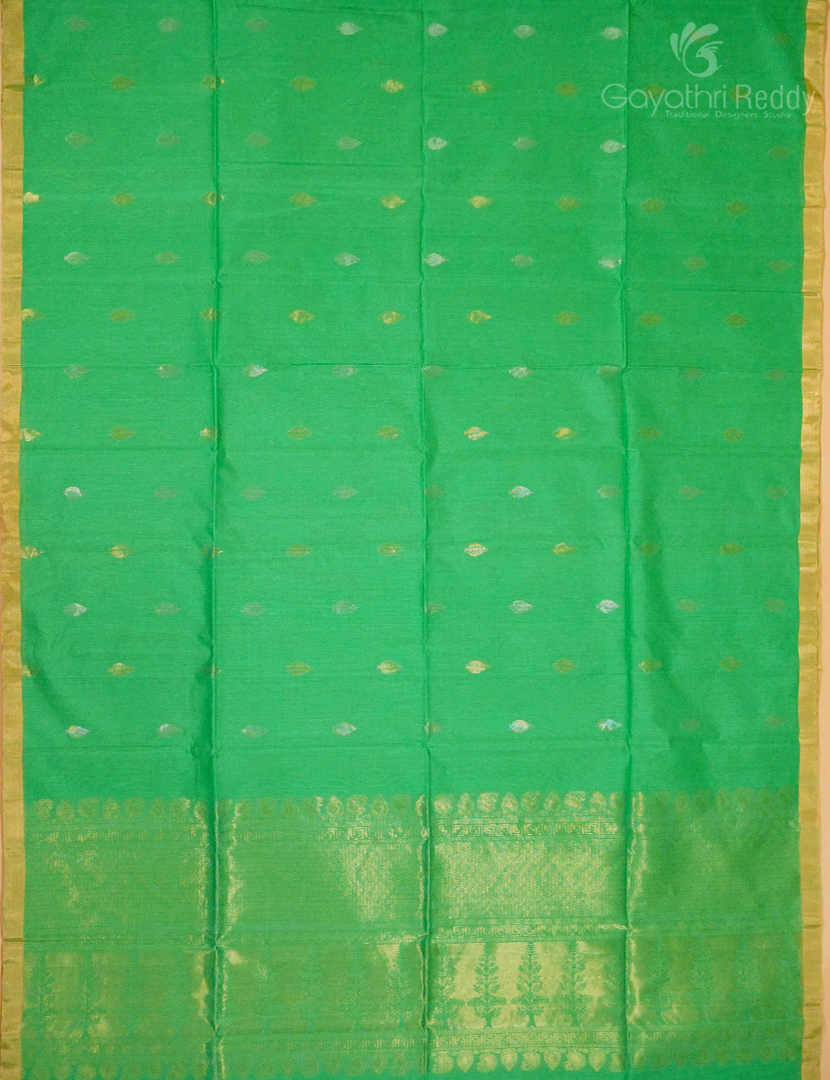 PURE KANCHI SICO-KIS1029