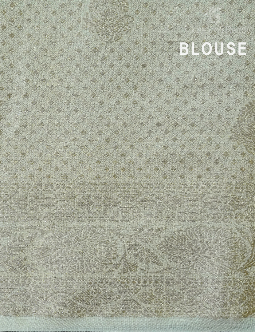 BANARAS TISSUE SAREE-BTK170