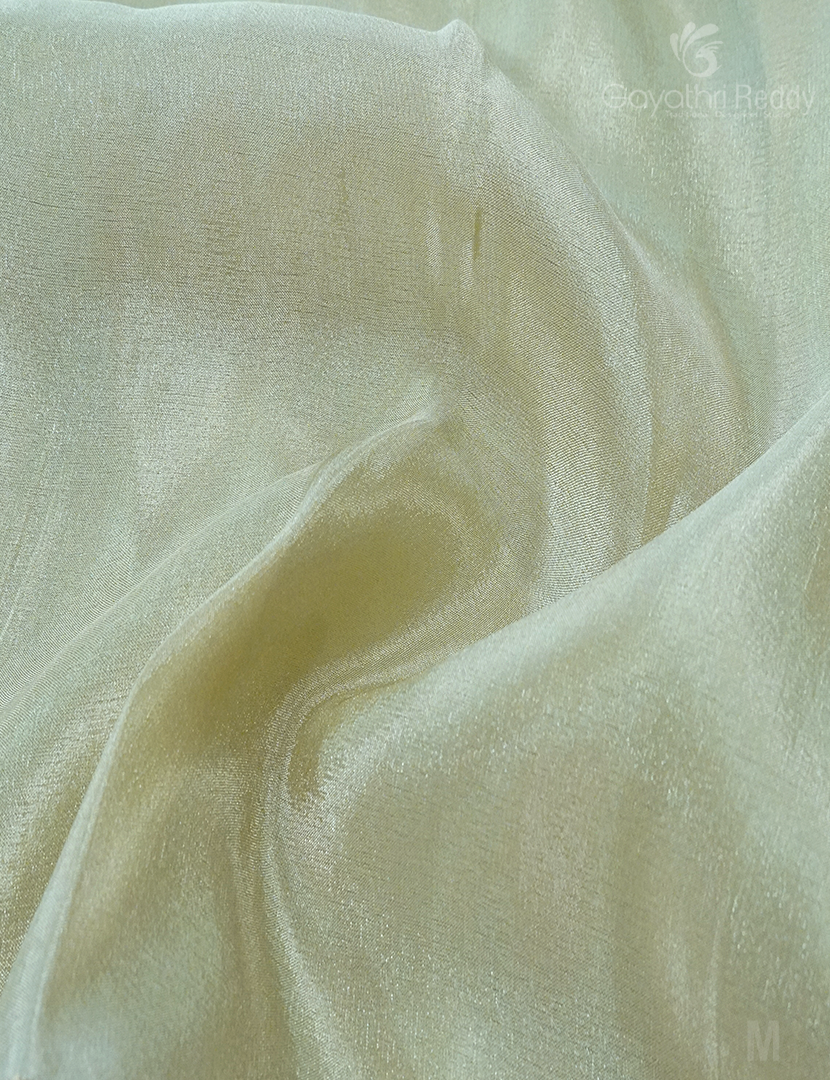 BANARAS TISSUE SAREE-BTK170