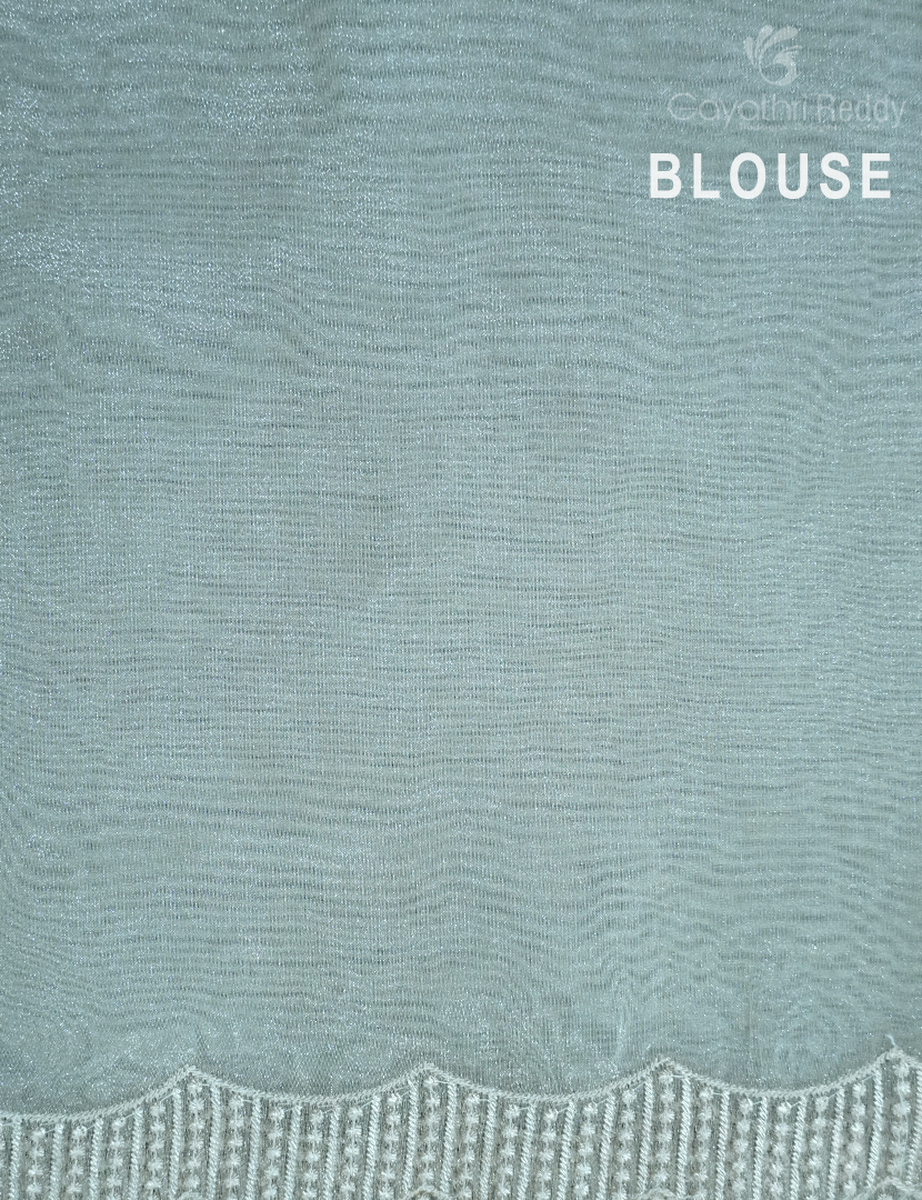 ORGANZA TISSUE FANCY-FO761