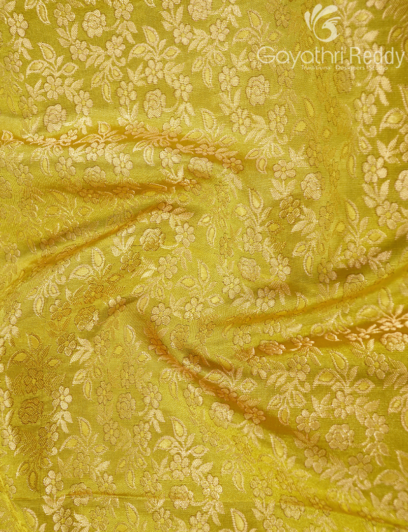 KANCHI PATTU-KP8529