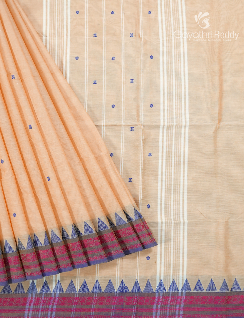 Pure Handloom Cotton Saree in Cream