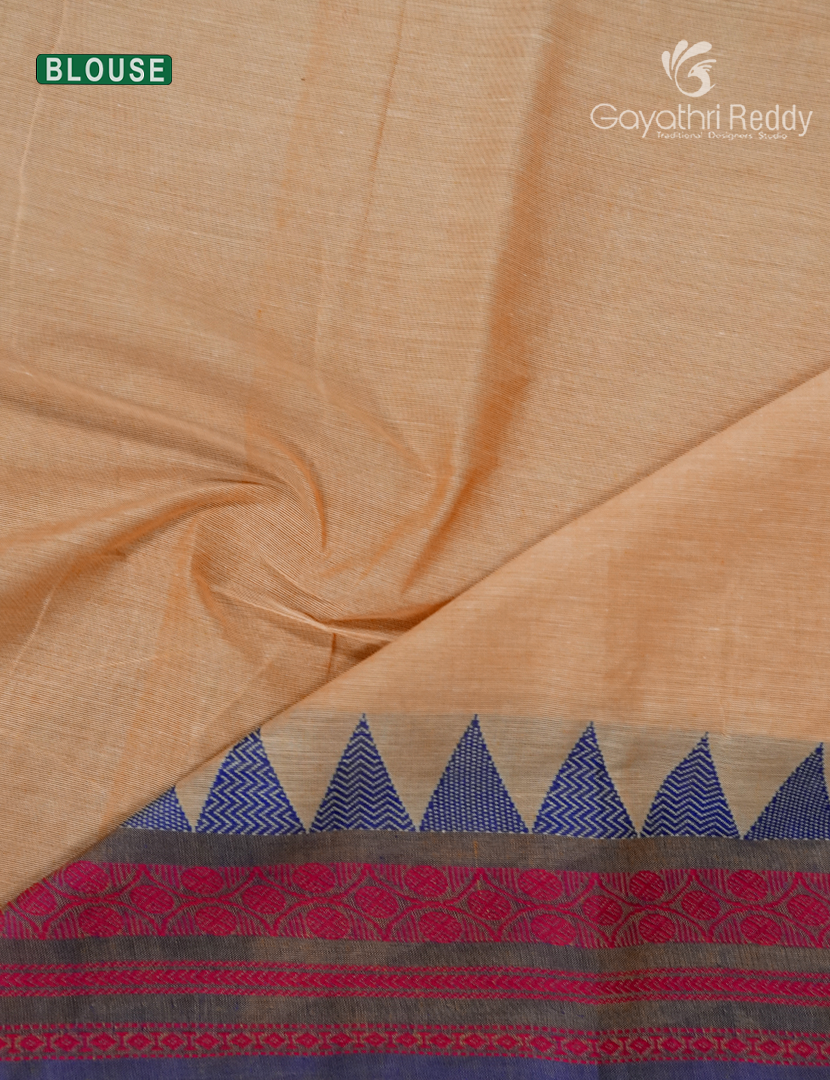 Pure Handloom Cotton Saree in Cream