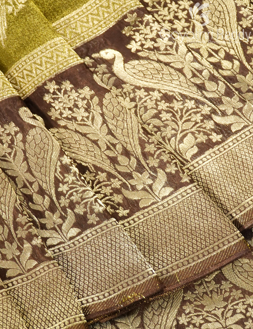 DOLA TISSUE FANCY-DTF15