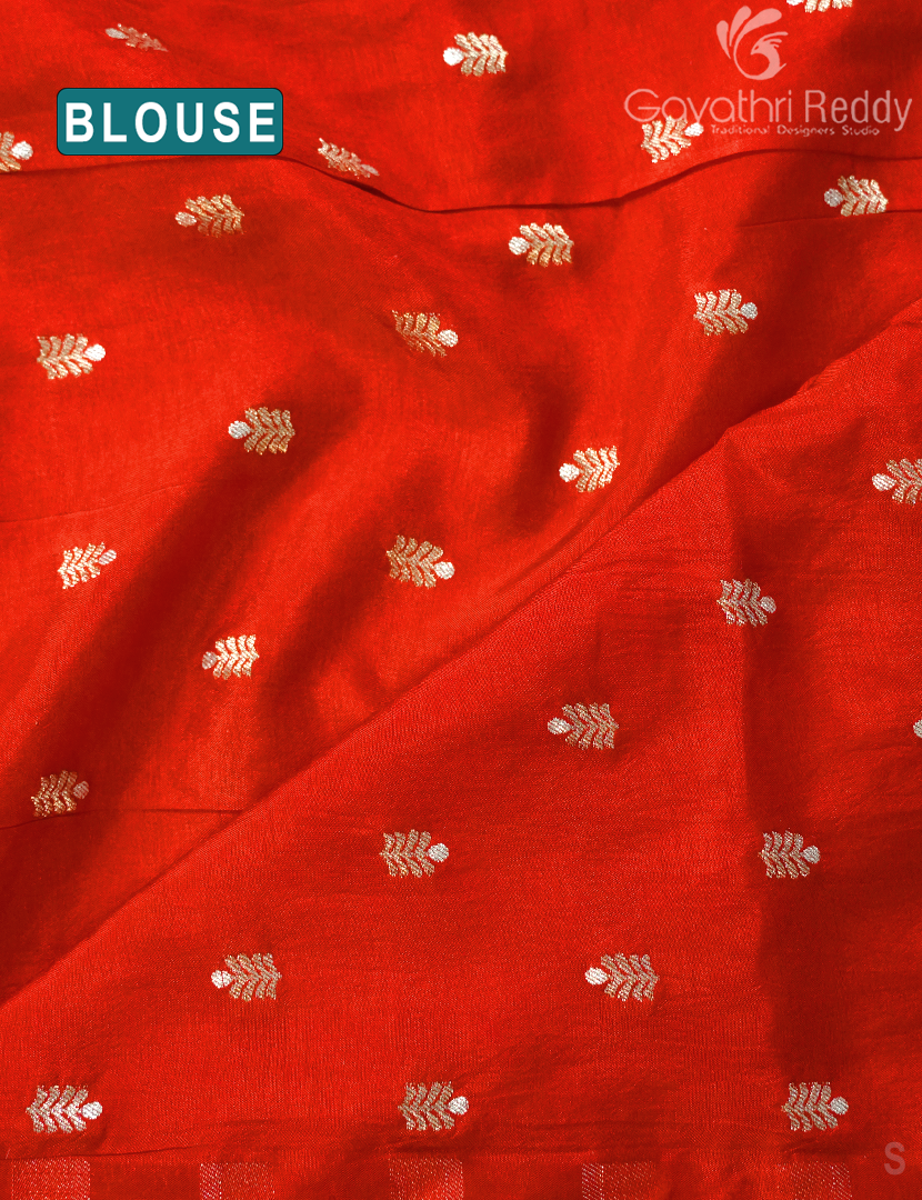 CHINON CHIFFON-PCF191