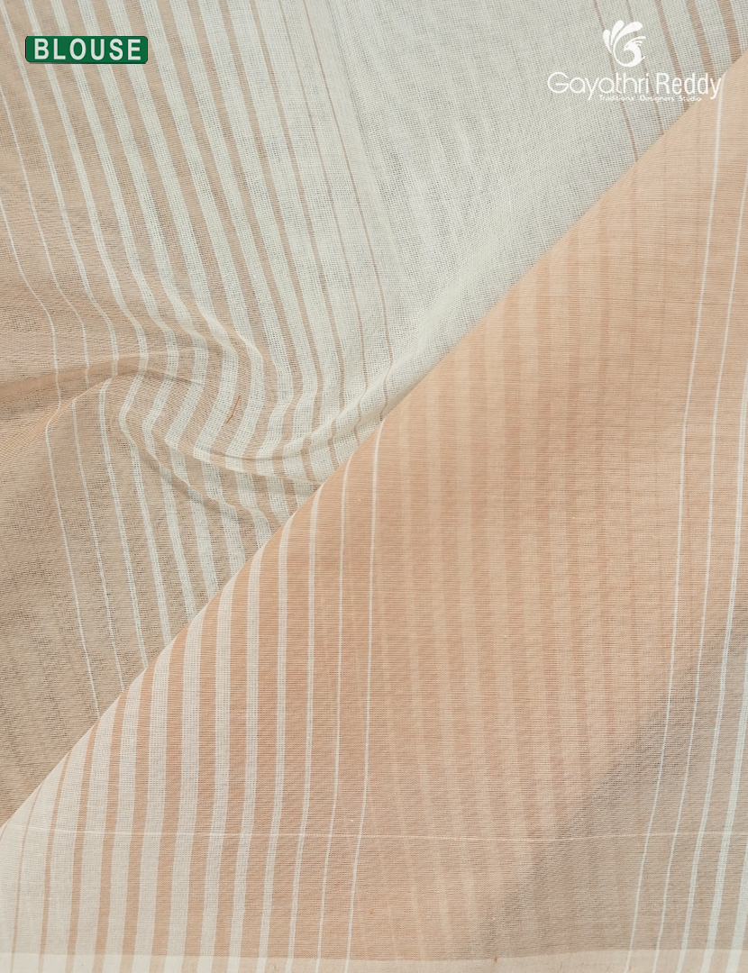 Pure Kanchi Cotton Saree in Cream and Light Beige