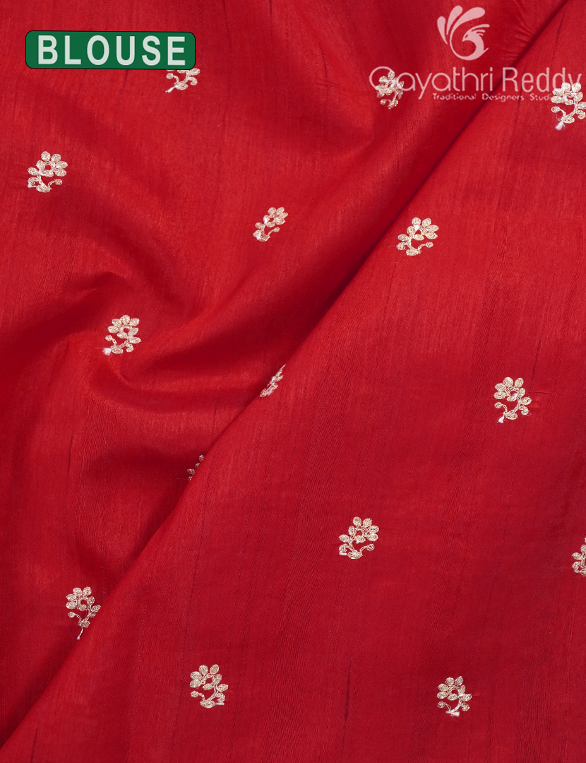TUSSAR PITTA WORK SAREE-TPW5