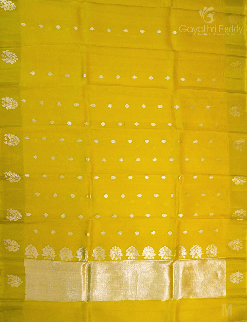 PURE ORGANZA SILK-POF119