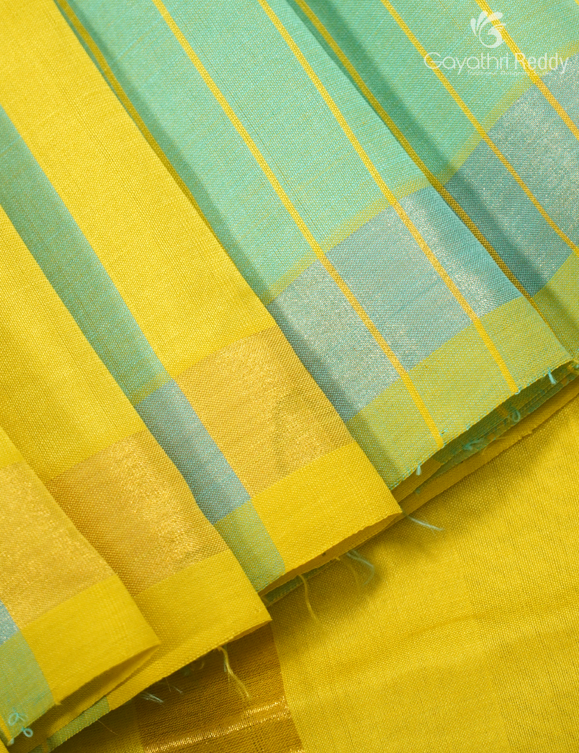 ARANI SILK COTTON-PAS383
