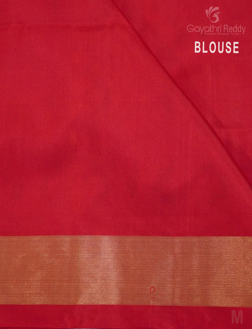 PURE KANCHI IKKAT PATTU-IP638