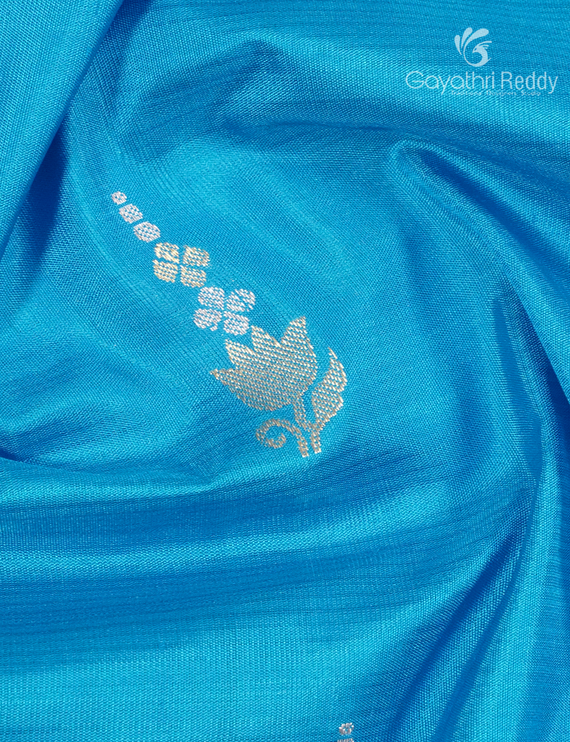 Pure Kanchipuram Silk Vinrage Saree in Sky Blue