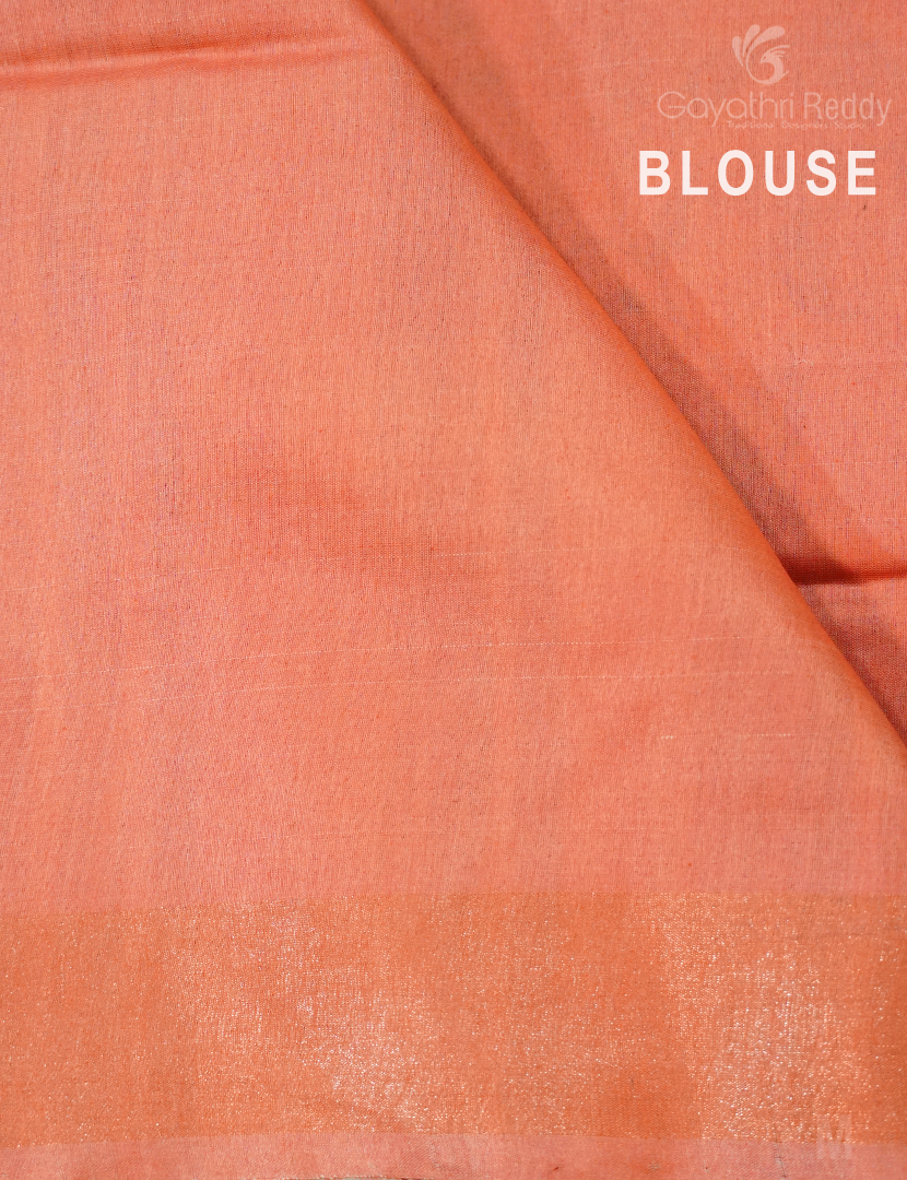 PURE DESI TUSSAR SILK-TS1328