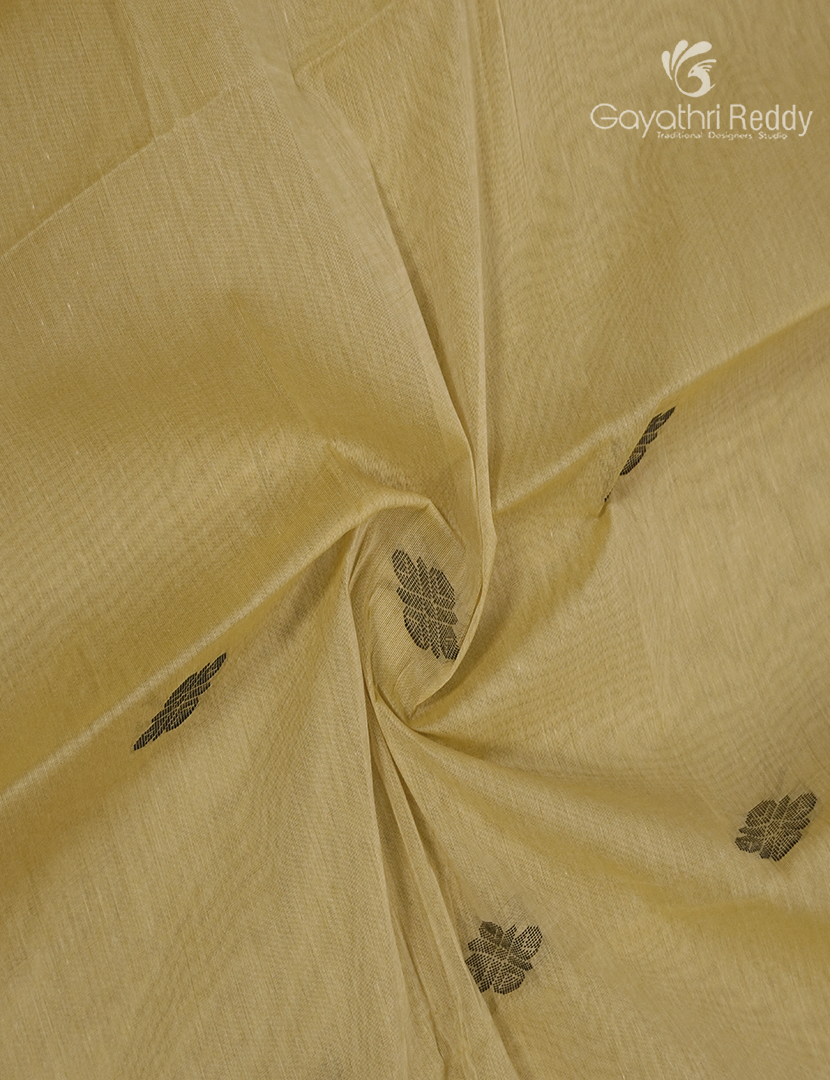 Pure Kanchi Cotton Saree in Cream