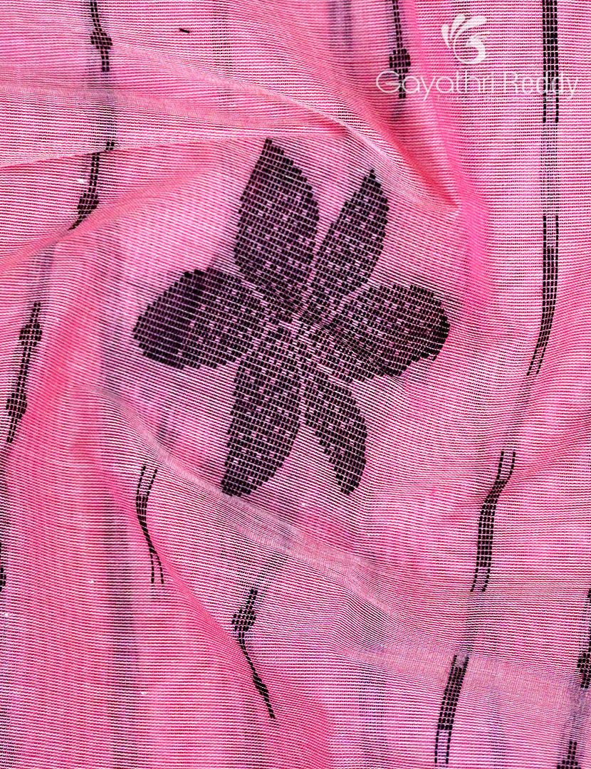 PURE KANCHI COTTON -KC3150