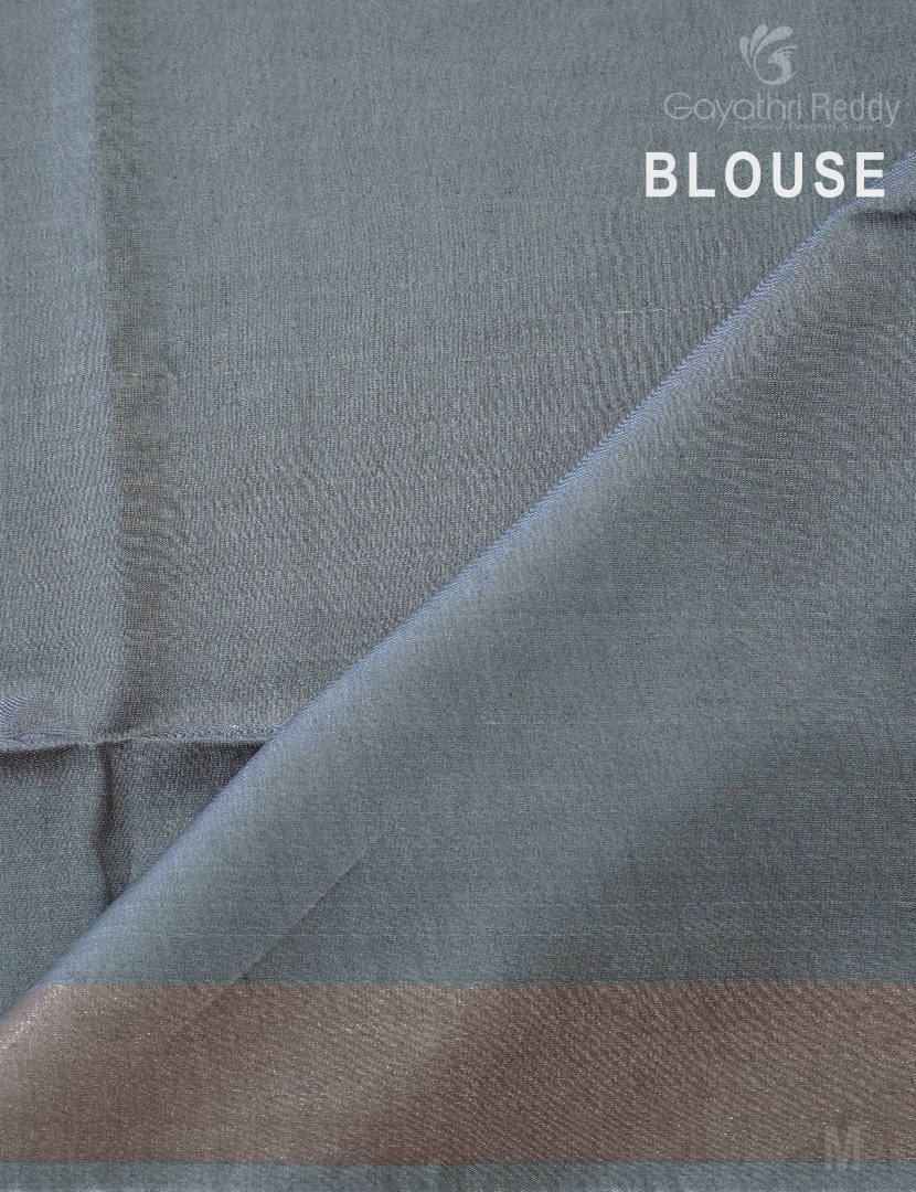 PURE DESI TUSSAR SILK-TS1367