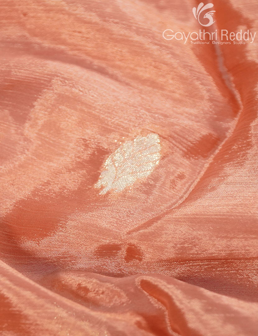 CHINON CHIFFON SAREE-CCS22