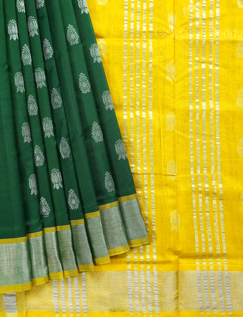 PURE ARANI SICO-PAS289