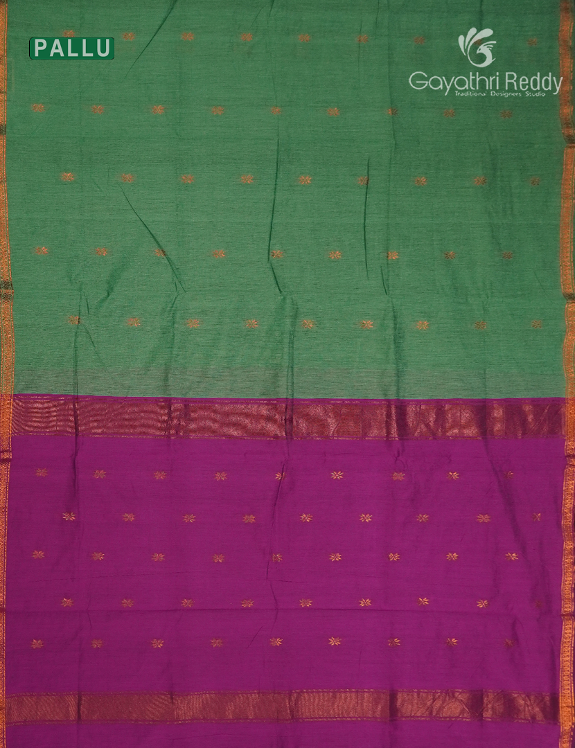 Sico Saree in Sea Green and Magenta