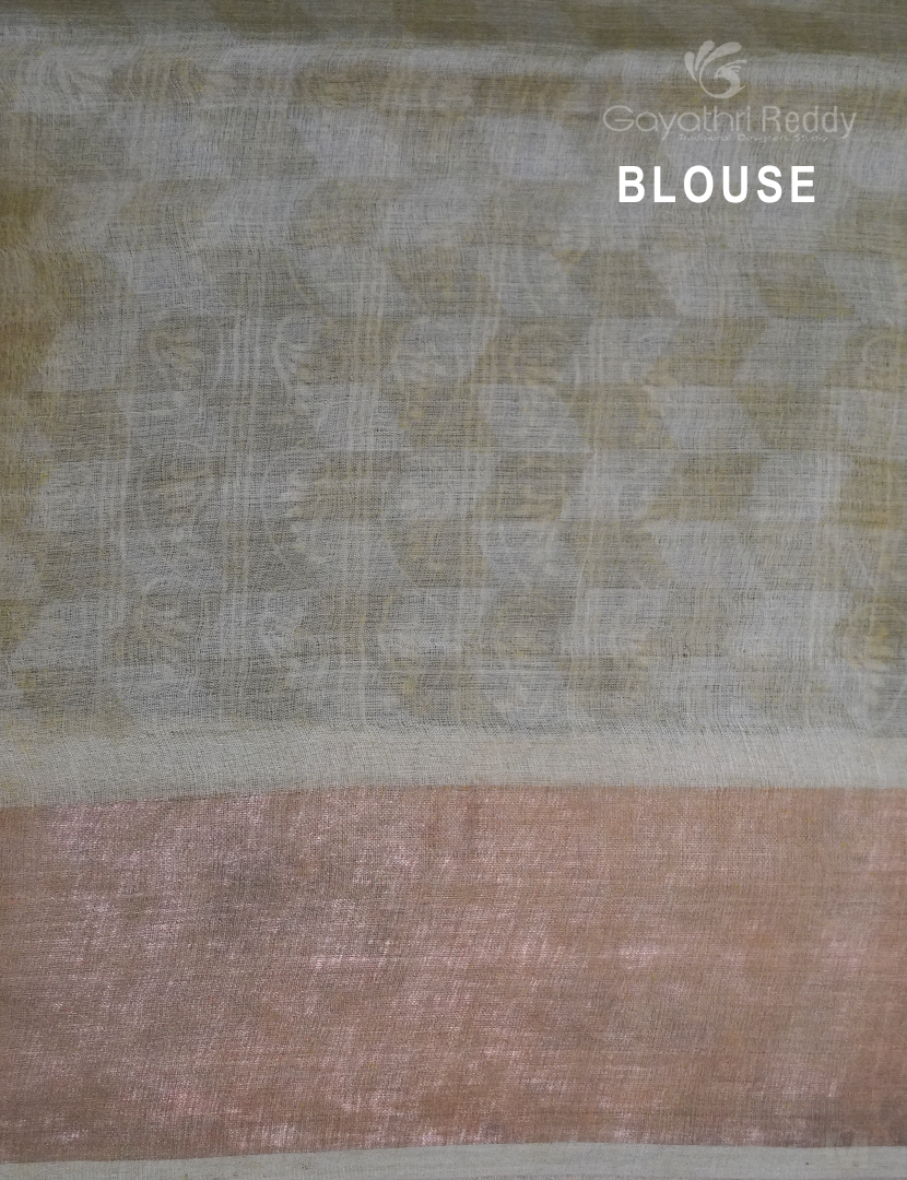 PURE DESI TUSSAR SILK-TS893