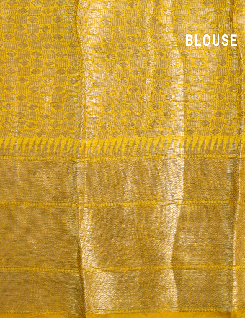 PURE BANARAS  RAW SILK-SRS98