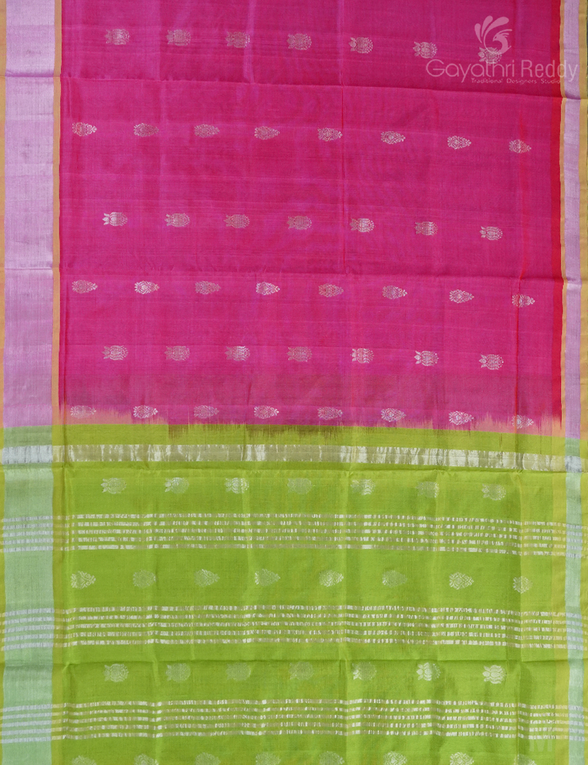 PURE ARANI SICO-PAS287