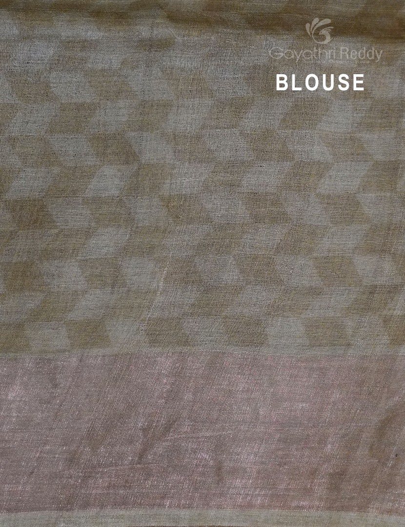 PURE DESI TUSSAR SILK-TS895