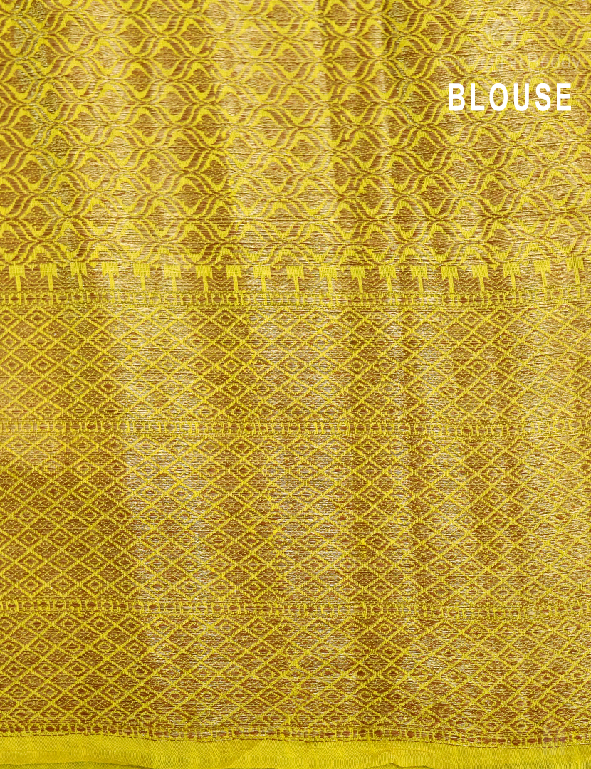 PURE BANARAS  RAW SILK-SRS100