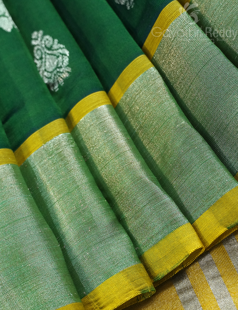 PURE ARANI SICO-PAS289