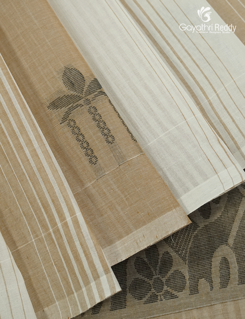 Pure Kanchi Cotton Saree in Cream and Olive Green