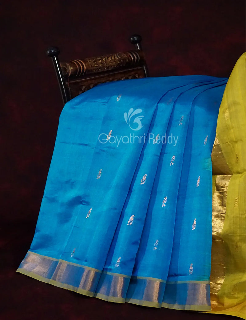 Paturi Sico Saree -PS192