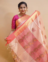 Banaras Tissue Cotton-BTC24